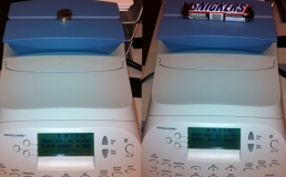 Dollar Coins Vs Snickers1
